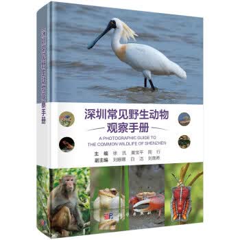 深圳常见野生动物观察手册 徐讯,黄宝平,周行 9787030606952 科学出版社