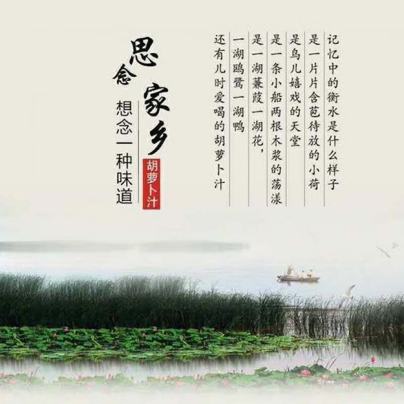 宴淘上好佳饶阳喜奥胡萝卜汁饮品浓缩果蔬汁饮料河北衡水特产12盒装