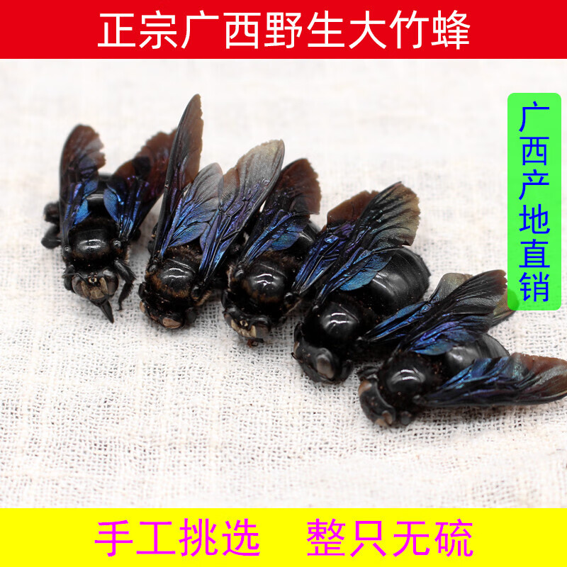 竹蜂广西大盐竹蜂20只咸竹蜂蜜蜂竹筛蜂