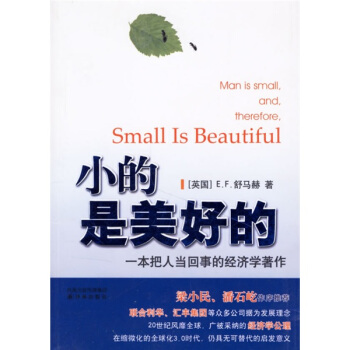 小的是美好的：一本把人当回事的经济学著作