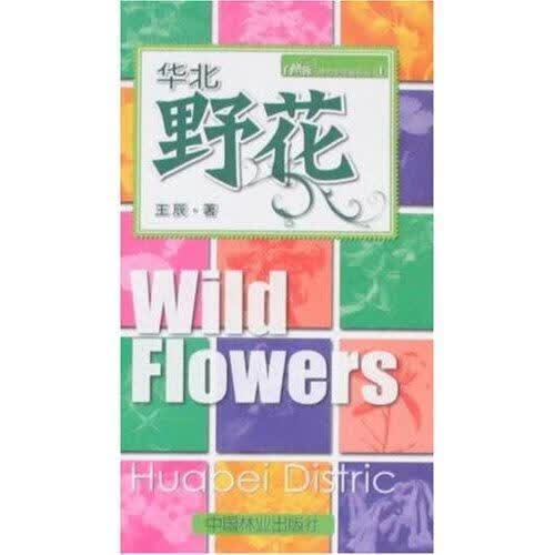 华北野花/王辰/农业/林业/9787503852442