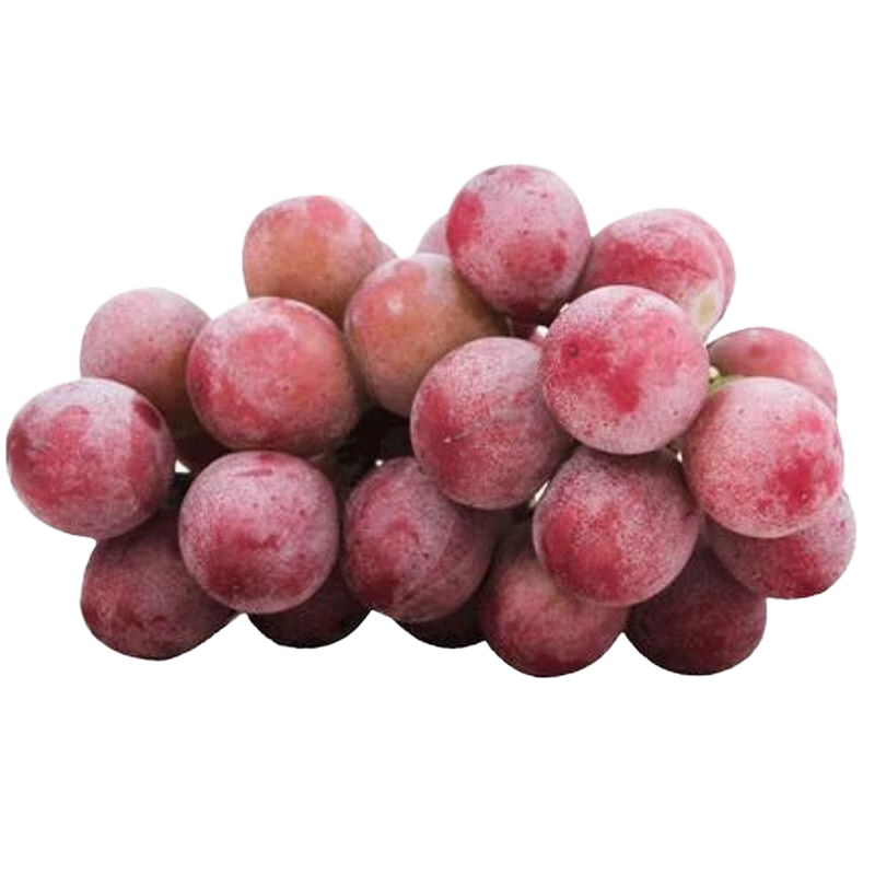 ǧ���Ƹ߶����Ȼʺ����� �챦ʯ������Ѻ����������챦ʯ����ˮ����� 2�� ����1��-1.3�� 238Ԫ