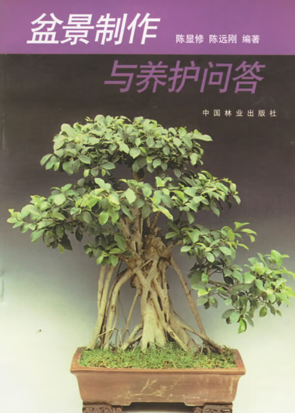 盆景制作与养护问答【正版图书,放心购买】