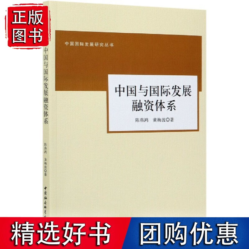 中国与发展融资体系