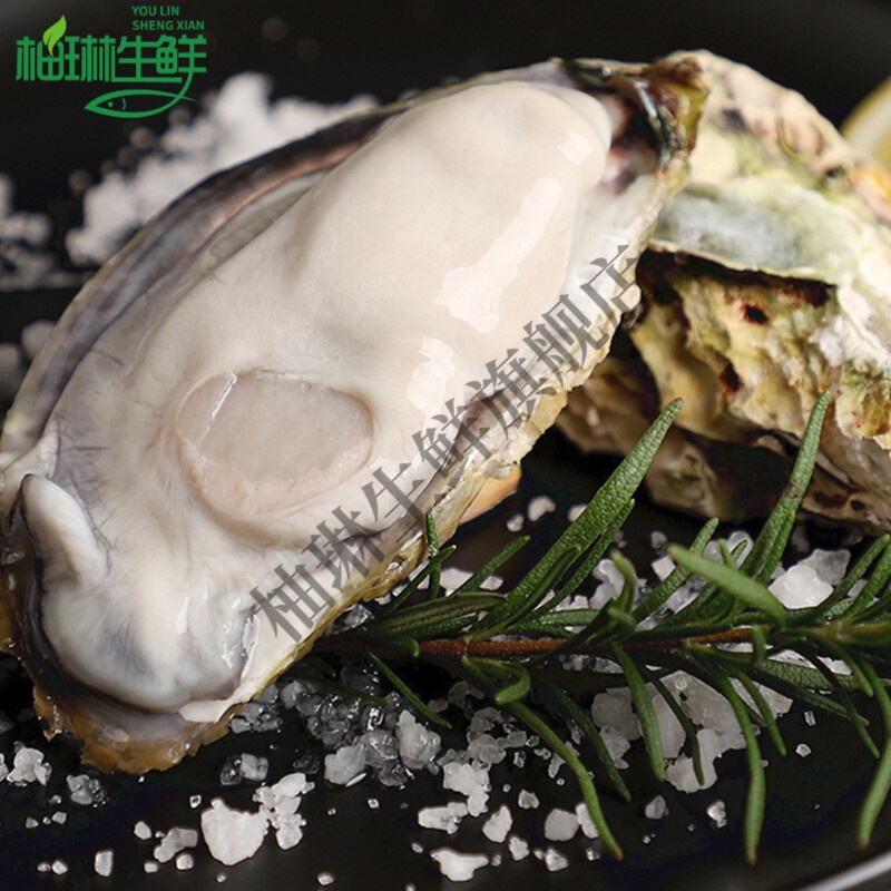 生蚝特大蚝王 0 250g 只 刺身级鲜活牡蛎10斤生蚝 参数详情评论 聚折扣