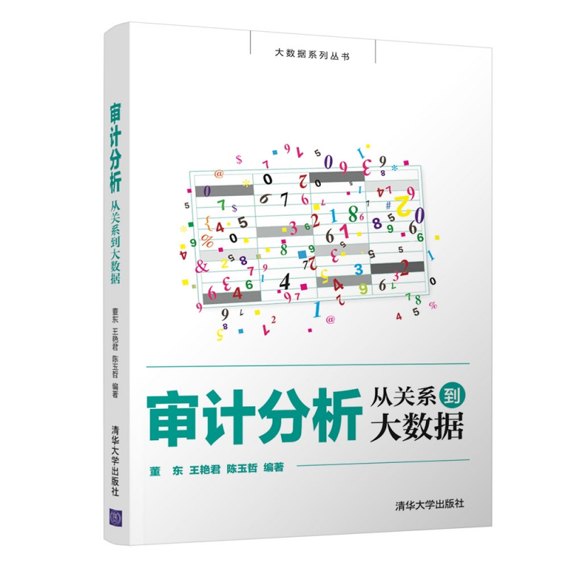 审计分析(从关系到大数据)/大数据系列丛书