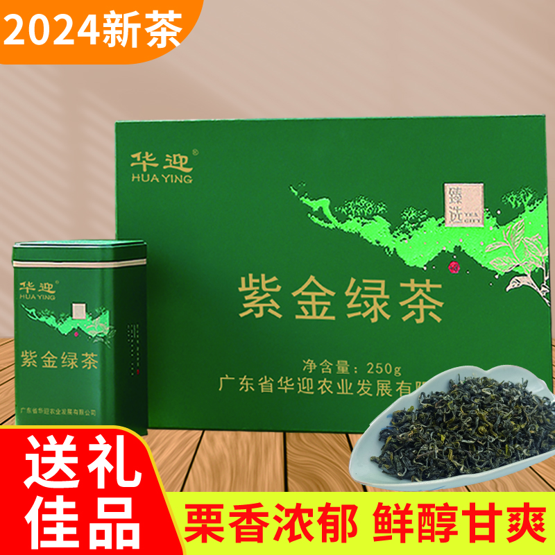 华迎广东河源紫金绿茶 茶叶绿茶2024新茶浓香型精制礼盒装 送礼好物 华迎紫金绿茶礼盒装