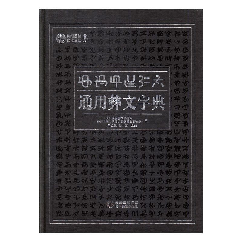 【图书正版】 通用彝文字典 9787541222443