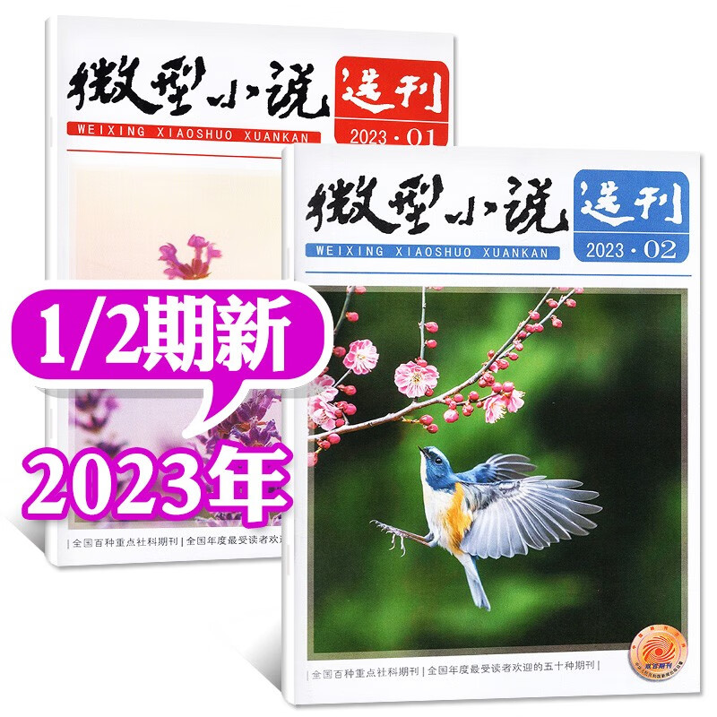 微型小说选刊杂志2023年5月上下9/10新【每月2本自选】短篇原创故事青春文学过期刊 23年1月上下 第1/2期 共2本