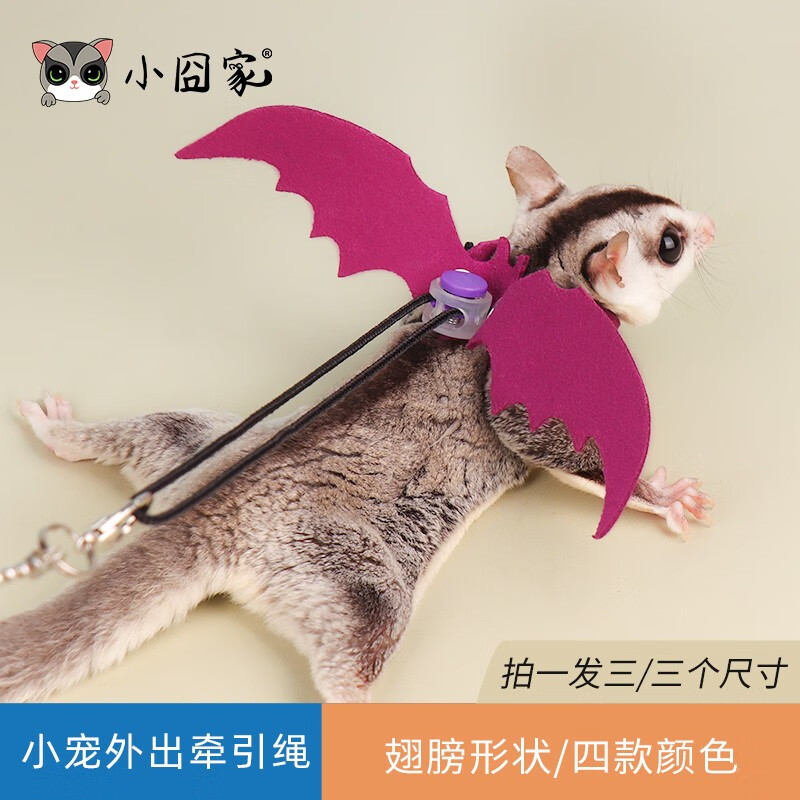 小囧家蜜袋鼯牵引绳外出专用松鼠花枝背带蜜袋鼯小衣服用品金丝熊溜鼠