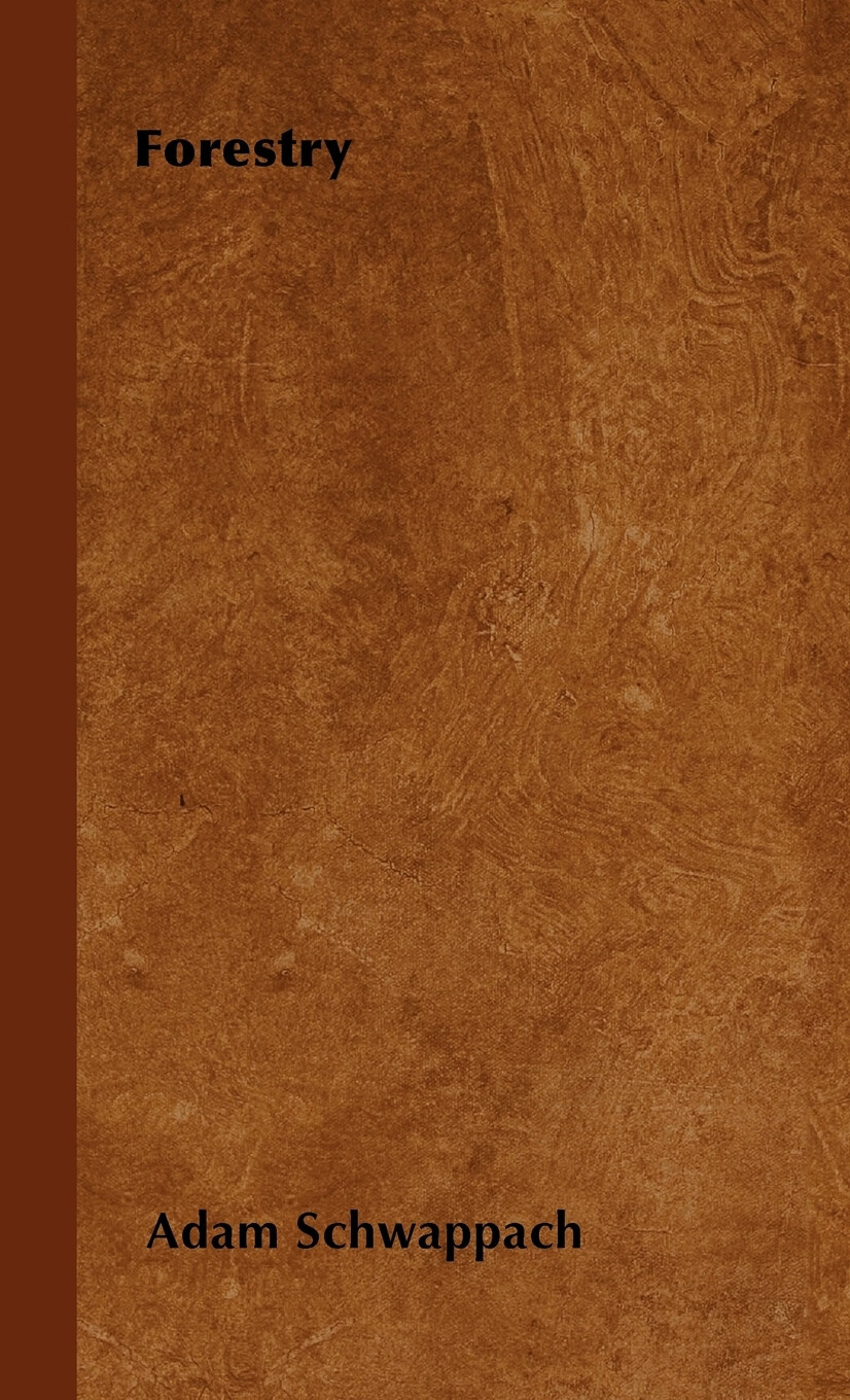 【预售 按需印刷】forestry