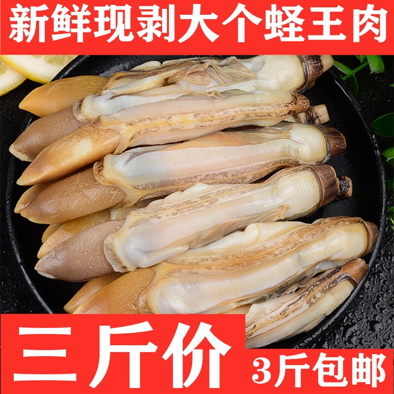 【蛏王肉大竹蛏子3斤】鲜活新鲜现剥冷冻竹节蛏子王可选蛏海圣子 3斤