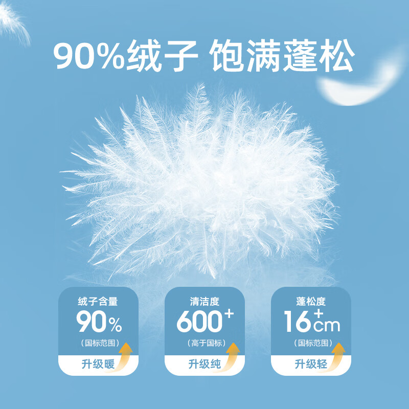 雪中飞童装儿童羽绒服2024秋冬新款男童中大童女童网格衬衫式轻薄羽绒服 黑色 150