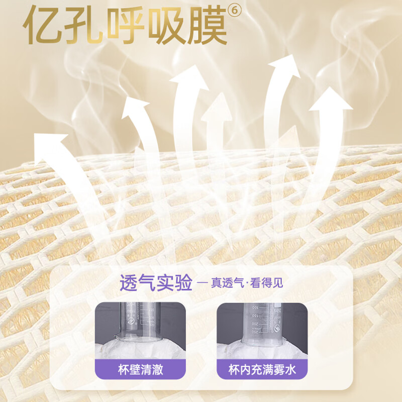 福派净护成人内裤式拉拉裤老人术后尿不湿抑味男女通用干爽消臭抑味 【≤60公斤】M码囤货装 -96片