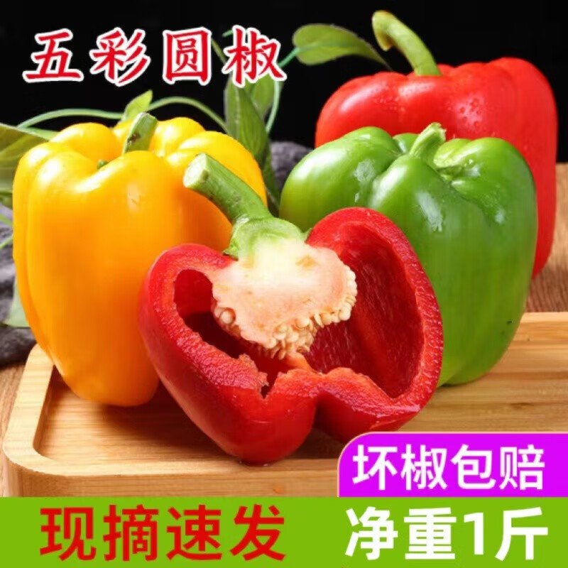 山间果好广西农家新鲜圆椒五彩灯笼椒红黄绿椒现摘太空椒脆甜不辣整箱