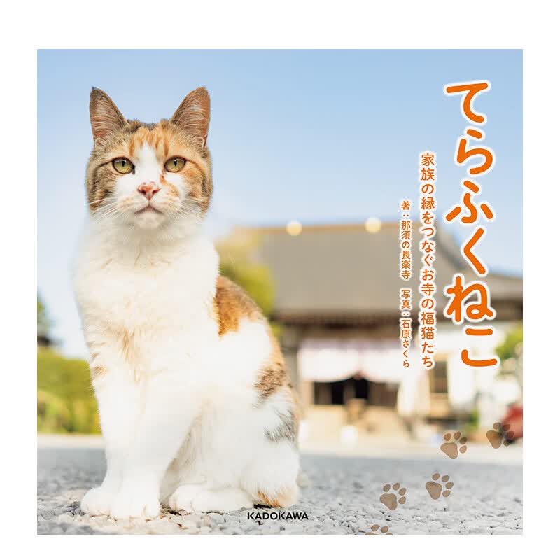 【现货】寺庙里的福猫 日文原版进口摄影作品集 善本图书