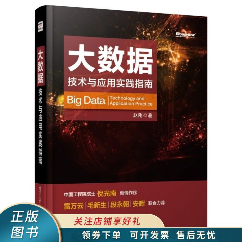 大数据：技术与应用实践指南 赵刚