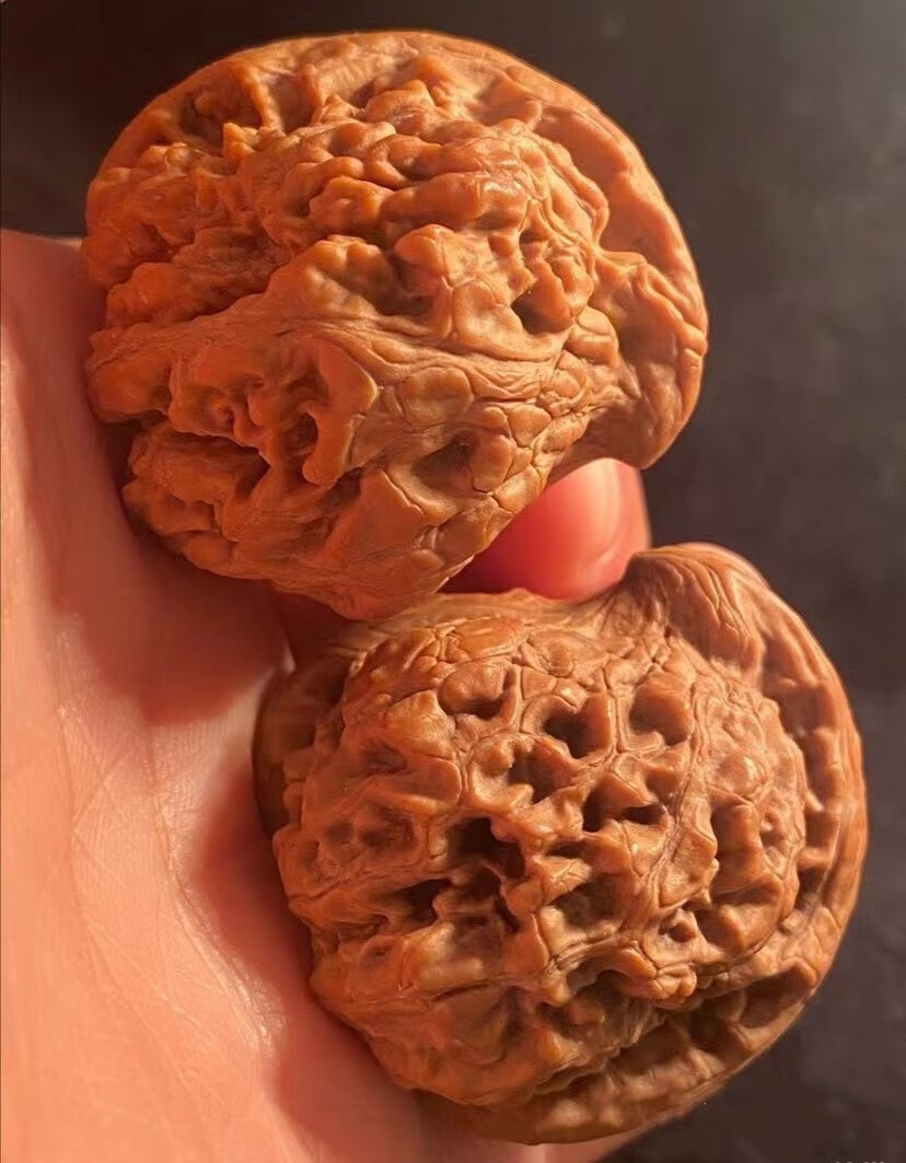 锦鼎野生文玩核桃鹰嘴核桃异形核桃收藏级核桃把玩四棱眼镜蛇核桃