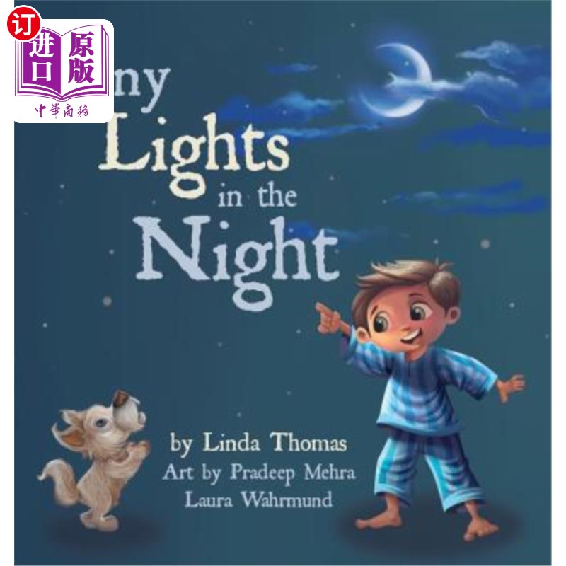 海外直订tiny lights in the night 夜晚的微光