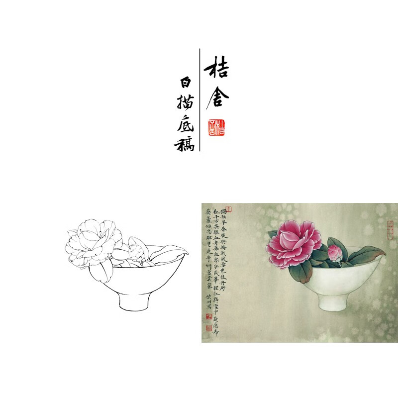 桔舍李晓明工笔画白描底稿茶花小品原作大小29*41厘米花鸟线稿带a3
