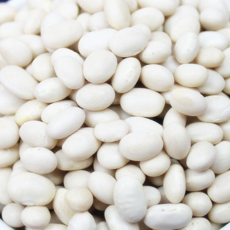 云南小白珍珠豆 新货农家自种小芸豆白豆炖菜煲汤打豆浆豆类杂粮 珍珠