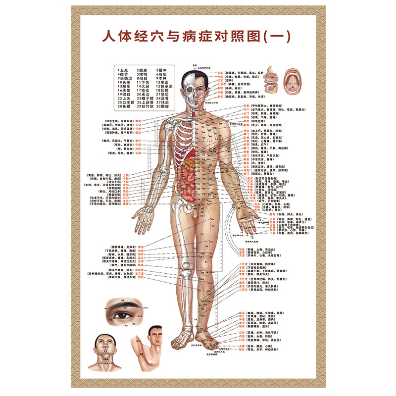 人体穴位对症挂图 人体经络穴位图大挂图家用理疗全身经络按摩美容