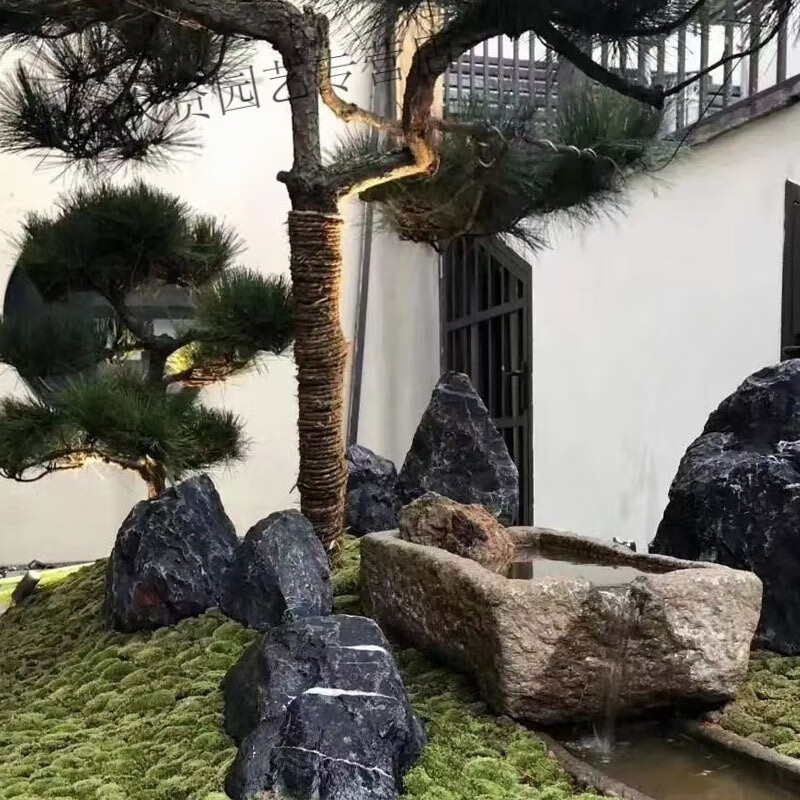 立始造景黑山石 草坪点缀景观黑色石头 异形状山水假山石批发 否 50