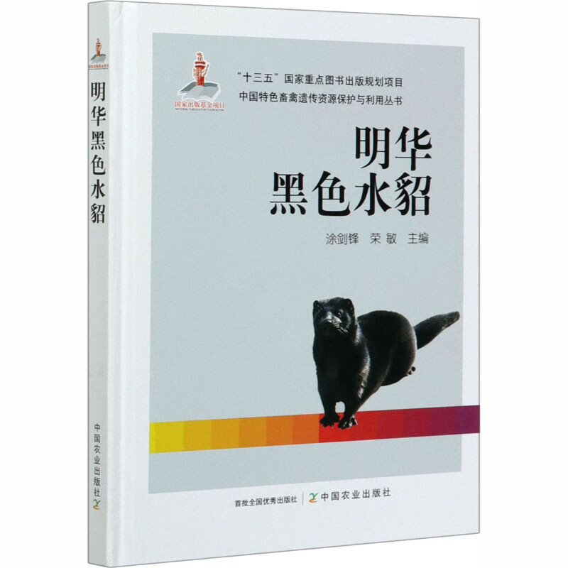 明华黑色水貂