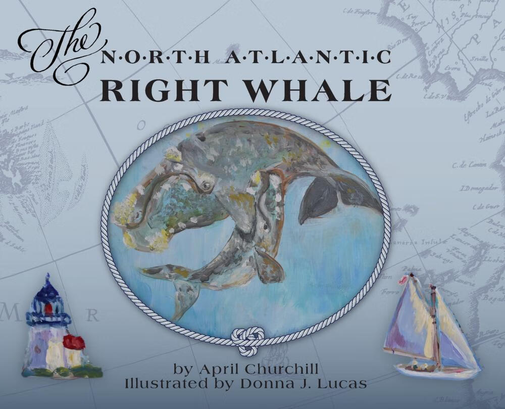 【预售 按需印刷】the north atlantic right whale