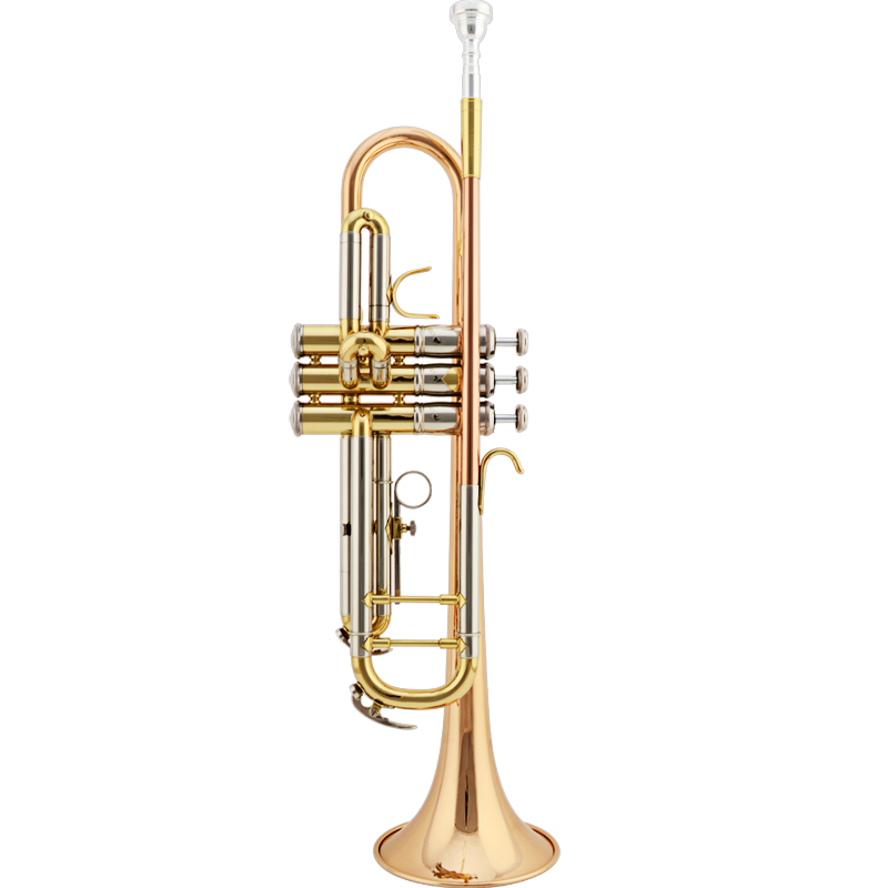 津?qū)欽BTR-430小號三音號降B調(diào)管樂隊(duì)專業(yè)樂隊(duì)演奏成人學(xué)生樂器 三色