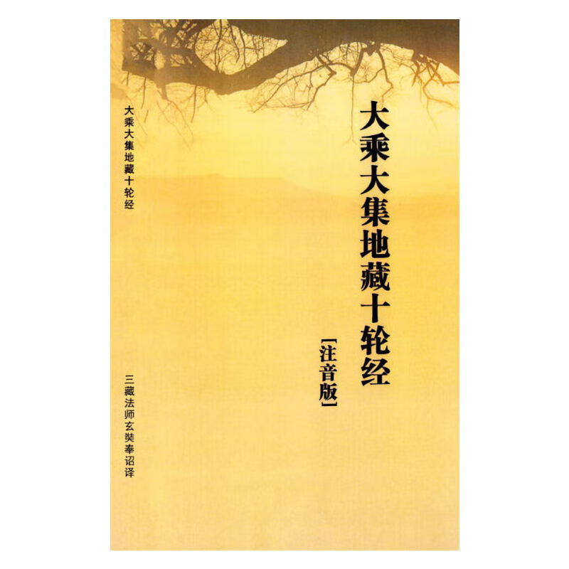 大乘大集地藏十轮经 三藏法师 注音版