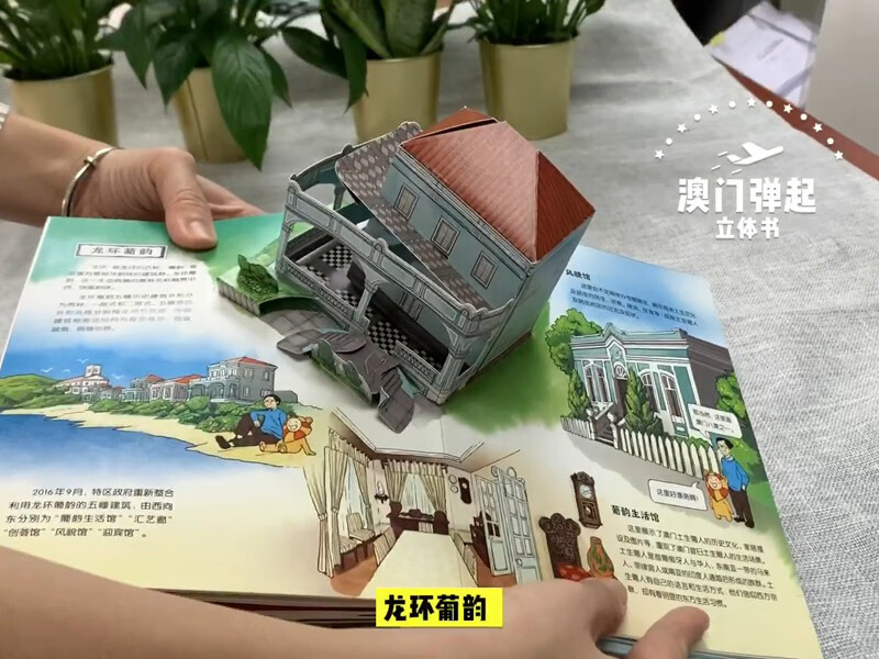 澳门弹起详情图