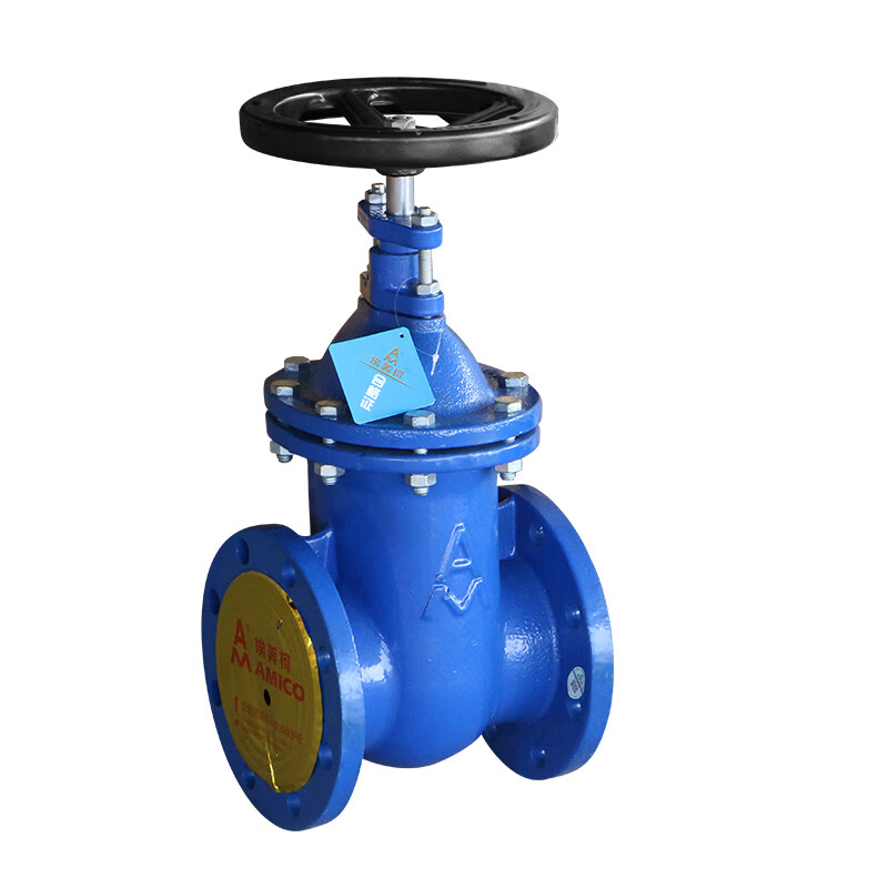 菲文特铸铁闸阀z45t-16铸铁法兰暗杆闸阀喷塑消防管道工程水阀高 dn40