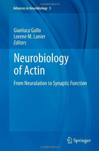 预订 neurobiology of actin