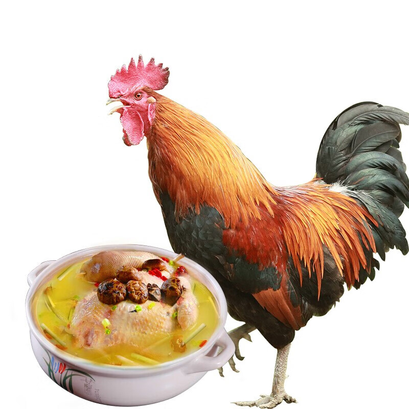 莘地（SHENDI）鸡肉