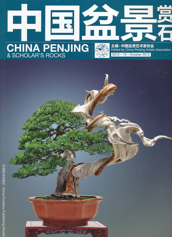 中国盆景赏石2012-10