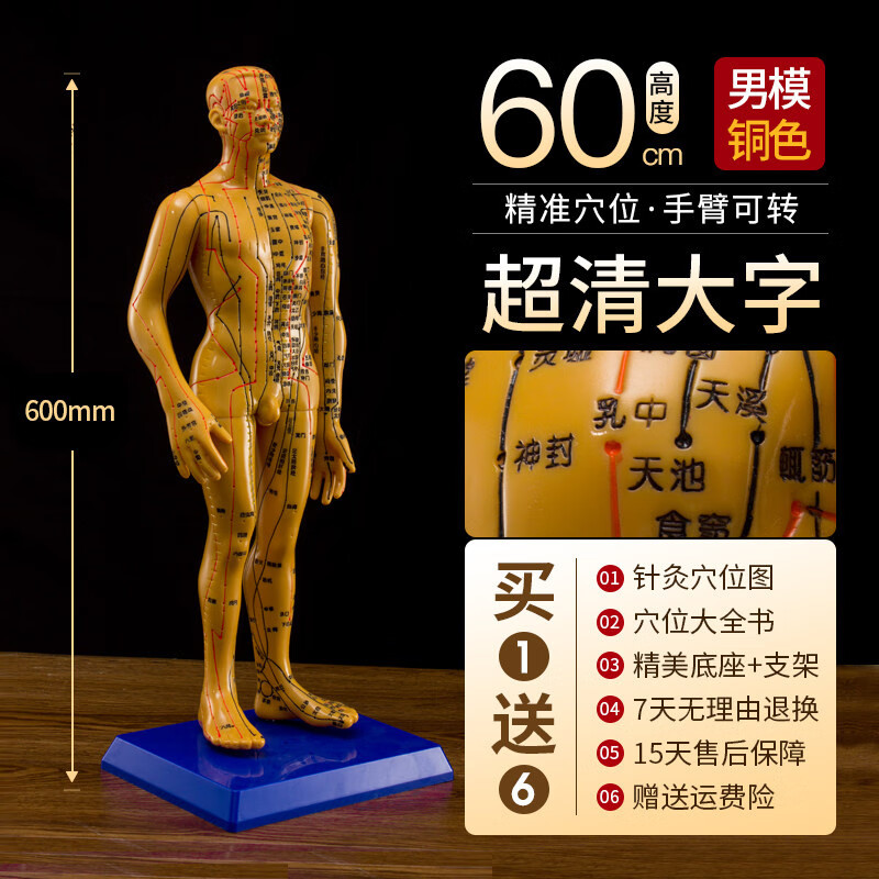 其他品牌針灸穴位人體模型 全身清經(jīng)絡(luò)圖人模硅膠 60CM男模款(銅色硬)