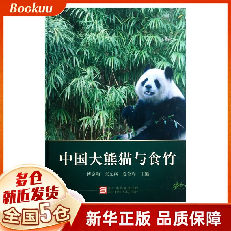中国大熊猫与食竹(精)