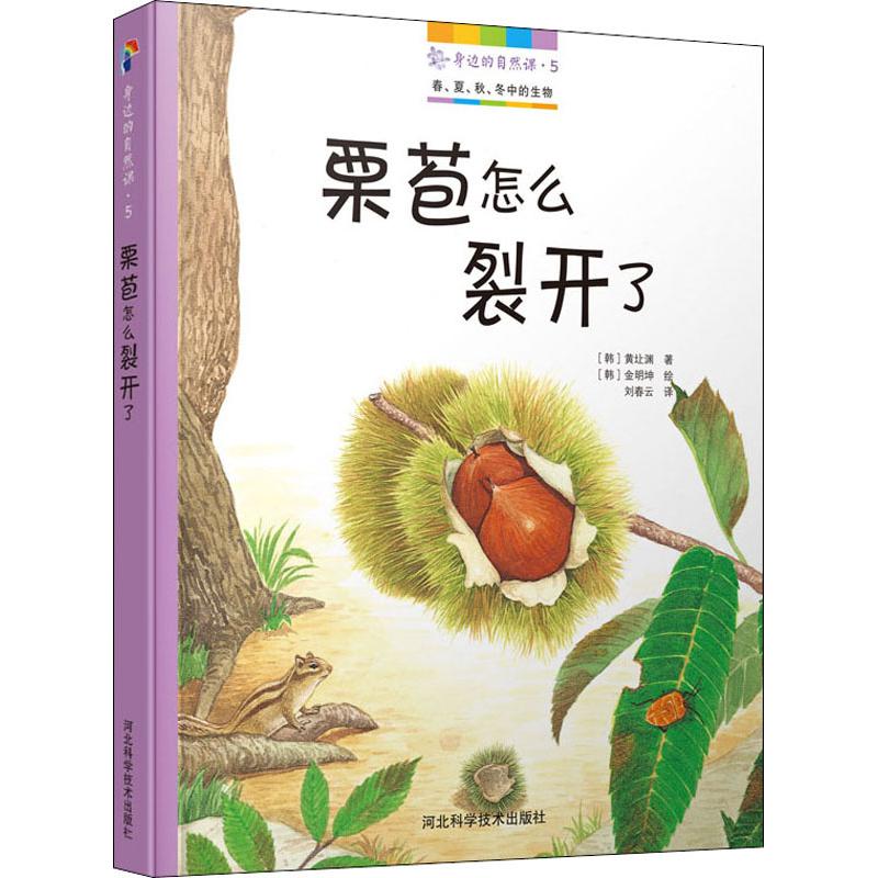 身边的自然课·5 栗苞怎么裂开了