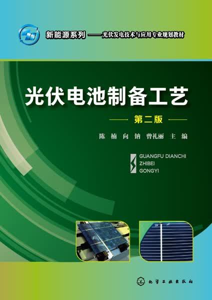 光伏电池制备工艺（第二版）陈楠、向钠、曾礼丽 主编 新能源系列