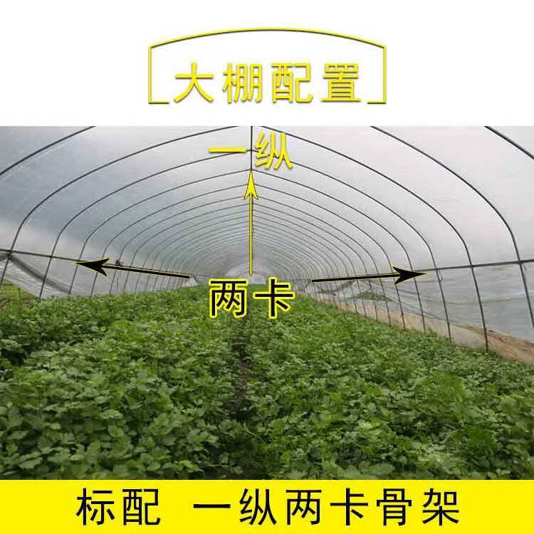 墨薰槿大棚骨架全套种植专用钢管抗风雪简易棚支架养殖温室大棚骨