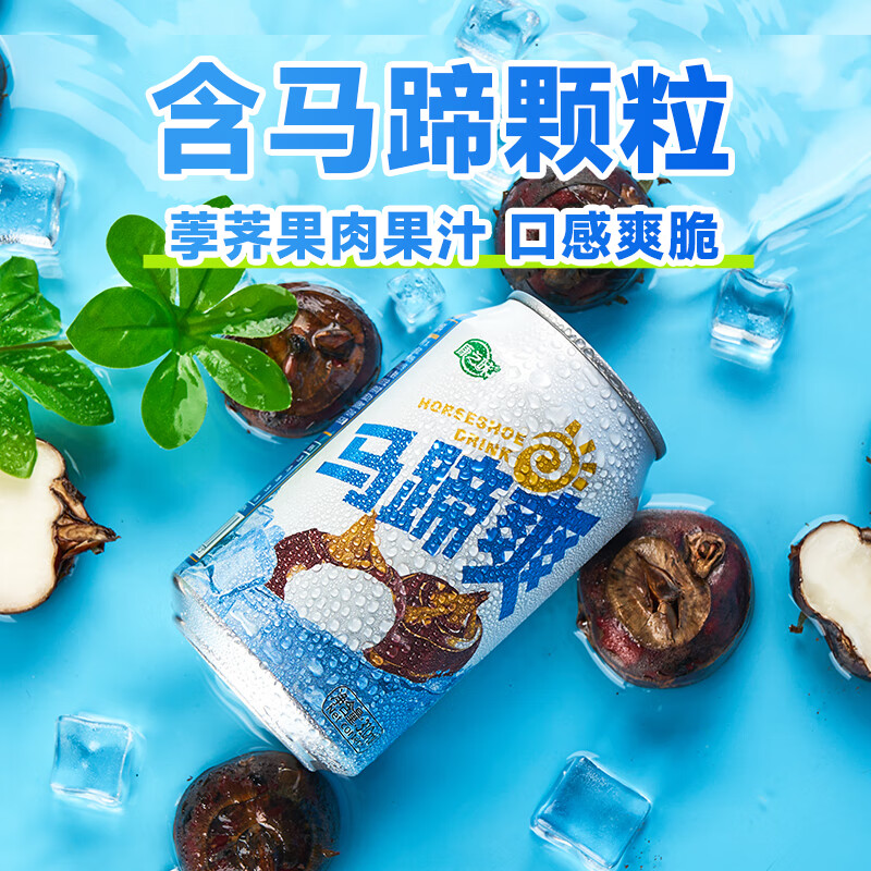 康之味马蹄爽送礼0添加真实荸荠果肉果味聚会饮料果汁 马蹄爽310ml*6听