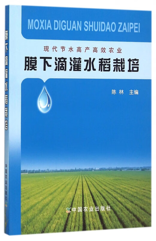 膜下滴灌水稻栽培(现代节水高产高效农业)