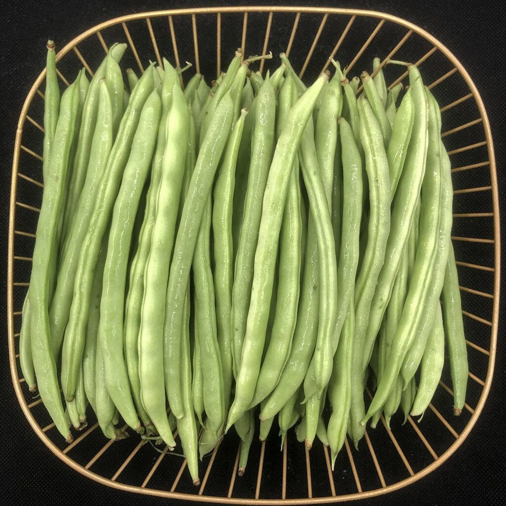 【48小时发货】【新鲜脆嫩】广东四季豆现摘现发无筋豆应季蔬菜批发嫩