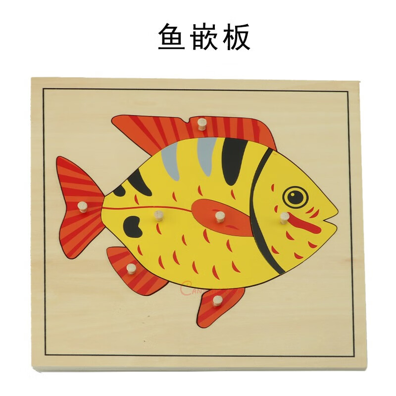 鱼的嵌板部位名称图图片