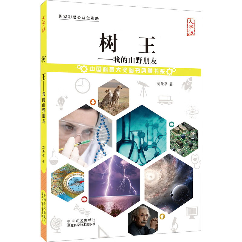 树王：我的山野朋友（大字版）