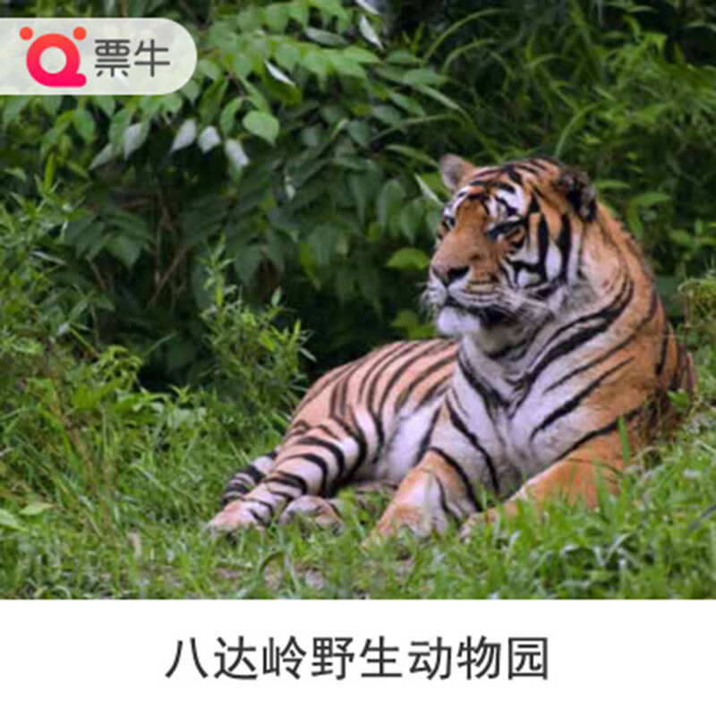 [八达岭野生动物世界-大门票]北京八达岭野生动物园门票 一日票 特惠