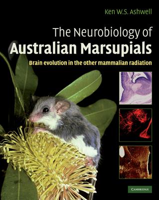 预订 the neurobiology of australian marsupials