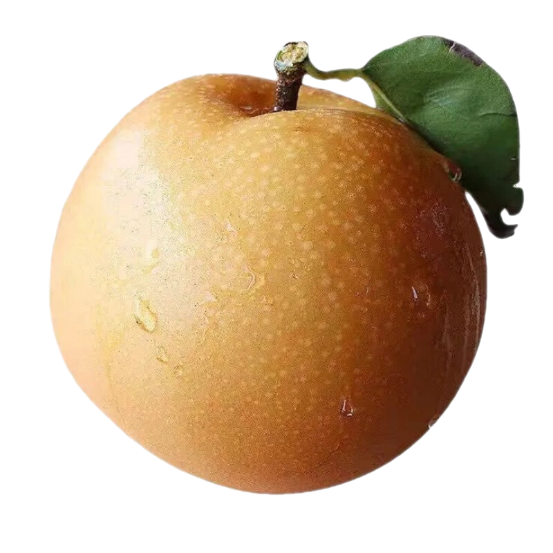 �������ڲ���:���ȹ��� ɽ�������� ����ˮ����ˮ������ Լ7-12�� ����4.5