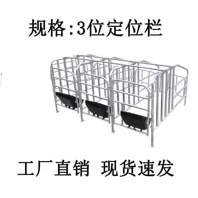 墨薰槿母猪定位栏猪用限位栏养猪场设备落地定位栏围栏猪圈漏粪板设备